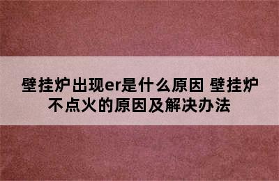 壁挂炉出现er是什么原因 壁挂炉不点火的原因及解决办法